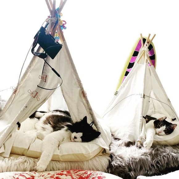 Thank you for visiting my closet. Offers welcome - Picture 2 of 6